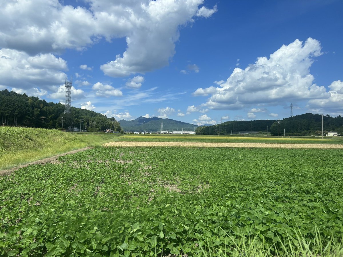 マジで里って感じの里帰り出産から3ヶ月ぶりに横浜に帰ってまいりました。おつかれさま