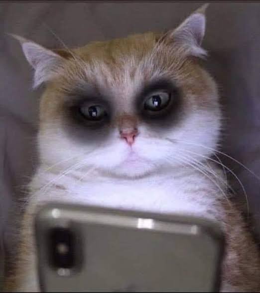 นี่ฉันกำลังรู้จักใครอยู่ ทำไมเรามาเจอกันได้ ตุ้วซีเคร็ทมาก