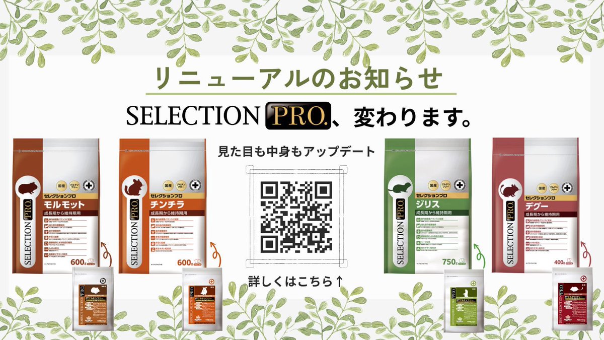 【2025年秋　新商品NEWS】

🌱セレクションプロ、変わります。🍃

#セレクションプロ #モルモット #チンチラ #ジリス #デグー

この春リニューアルしたバニーセレクションプロ に引き続き、 草食小動物も2025年秋、リニューアルします！

ぜひお試しください！
#イースター