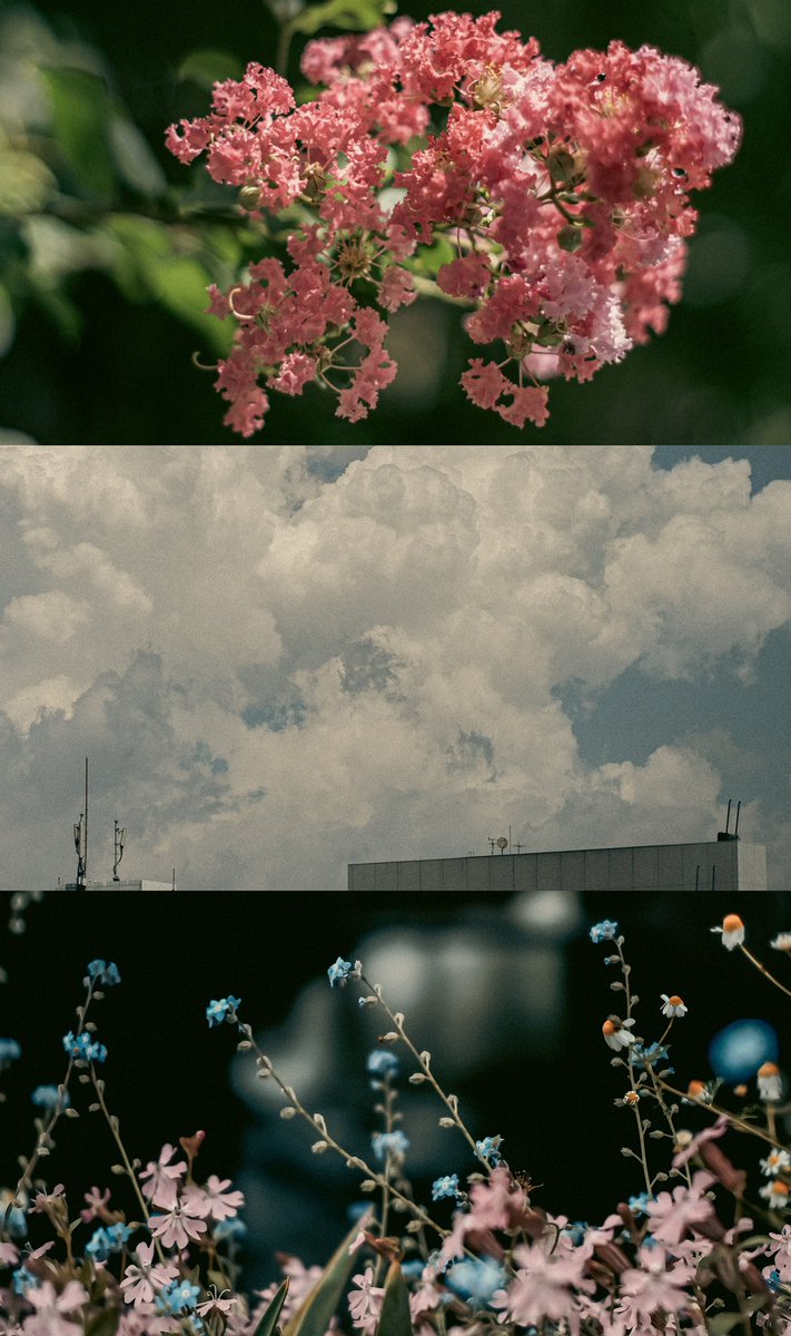 ikiru_mouhu's tweet photo. Summer sky in Tokyo https://t.co/rdkd4anHqr