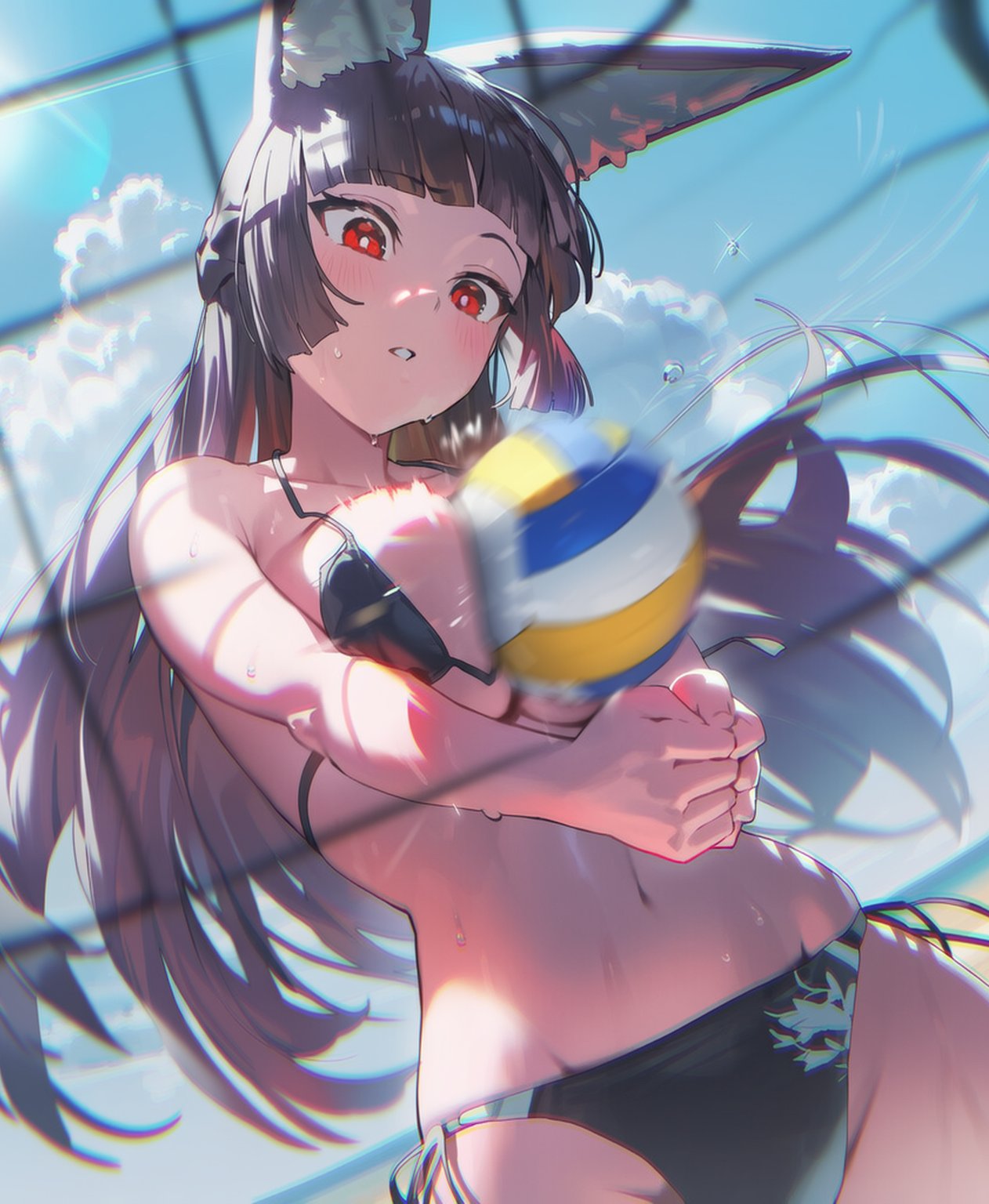 投稿の画像