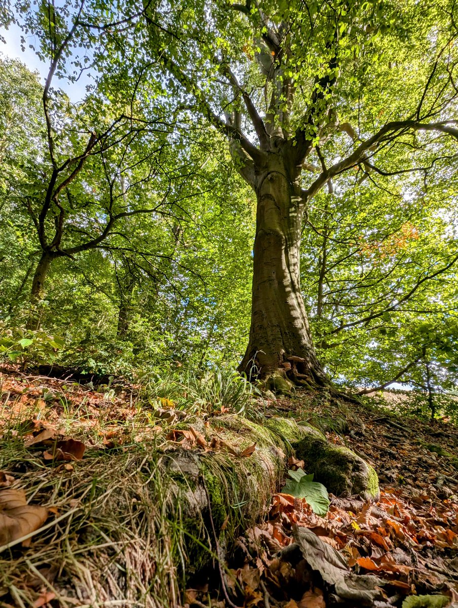 Wishing you a wild Wednesday 😁