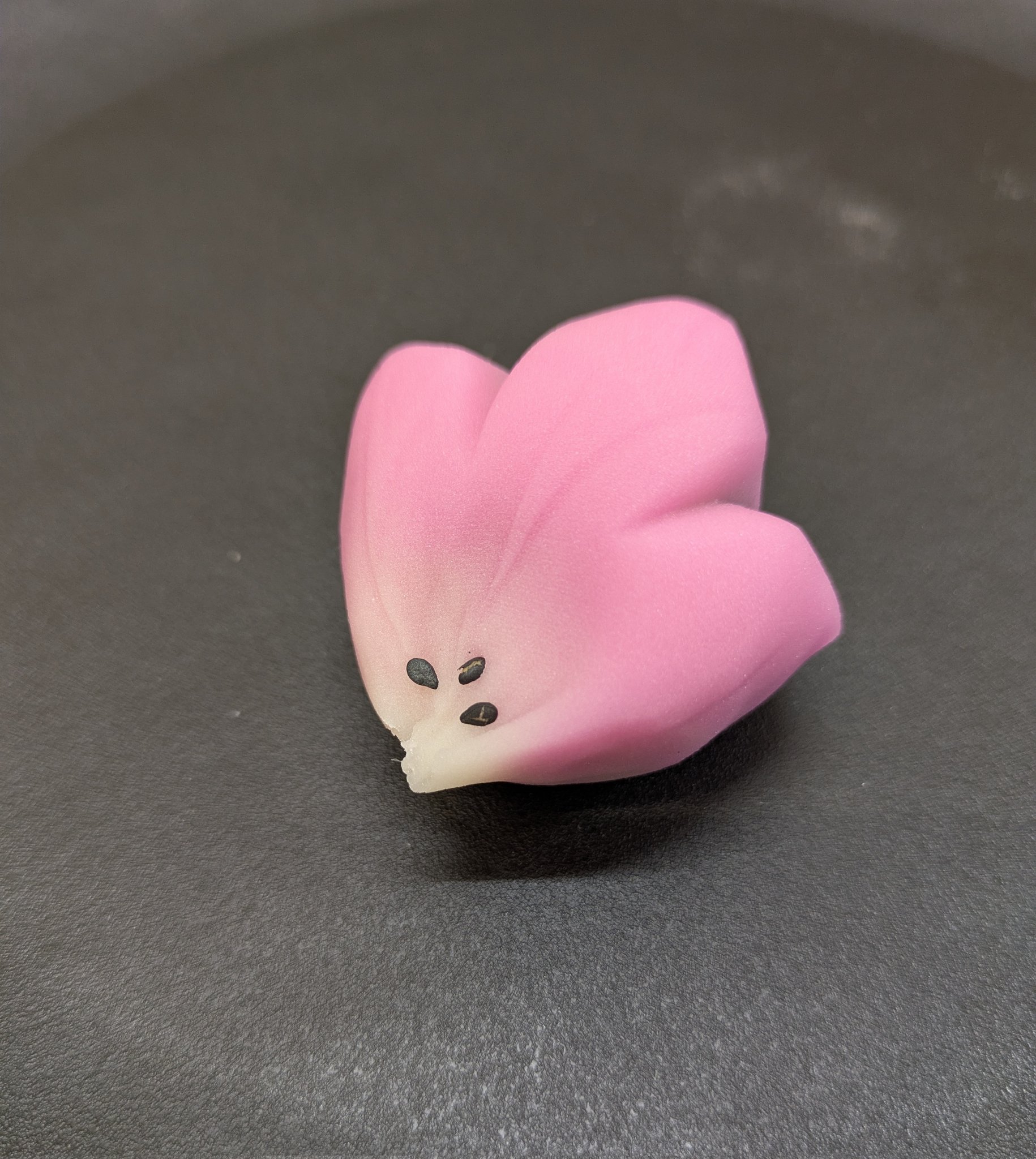 桔梗様*.+゜ 偽桔梗。 | 如月雪華（まこ）のブログ「雪の華。」