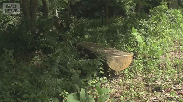 島根県で発見された記憶喪失男性のイメージ
