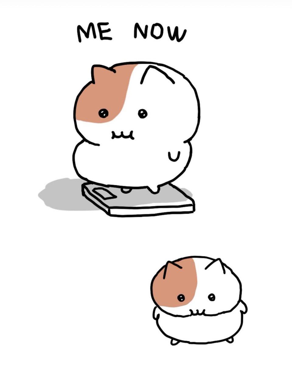 もちにゃみ tweet media