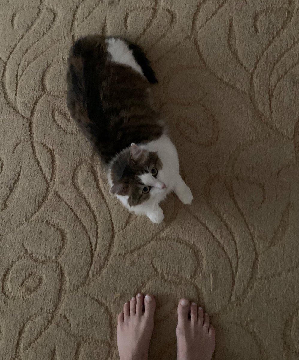 моя самая сладкая булочка с корицей