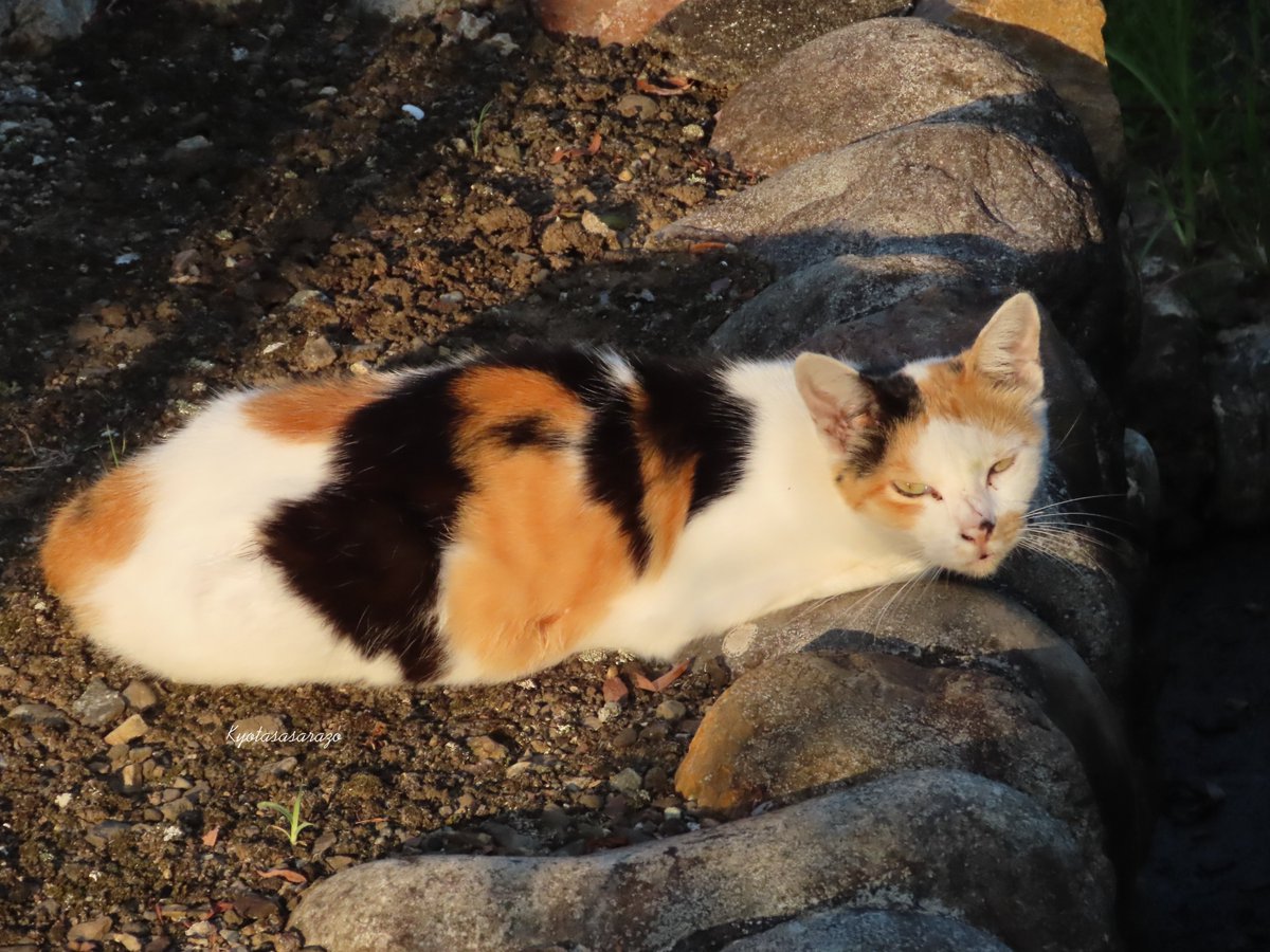 栗林今朝男、【騎乗近し】、希少な額装用画集より、新品額装付