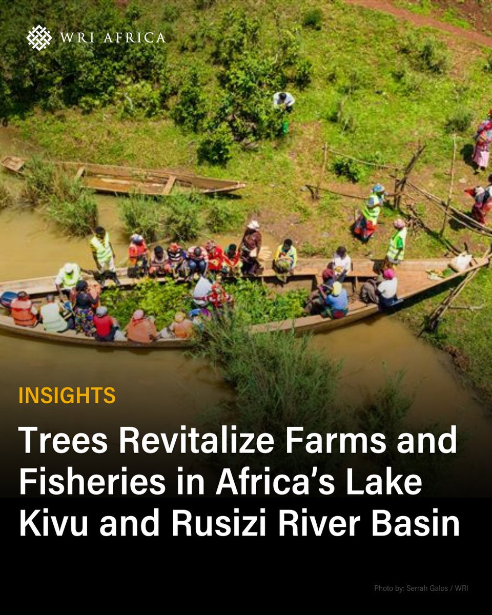 WRI Restoration tweet media