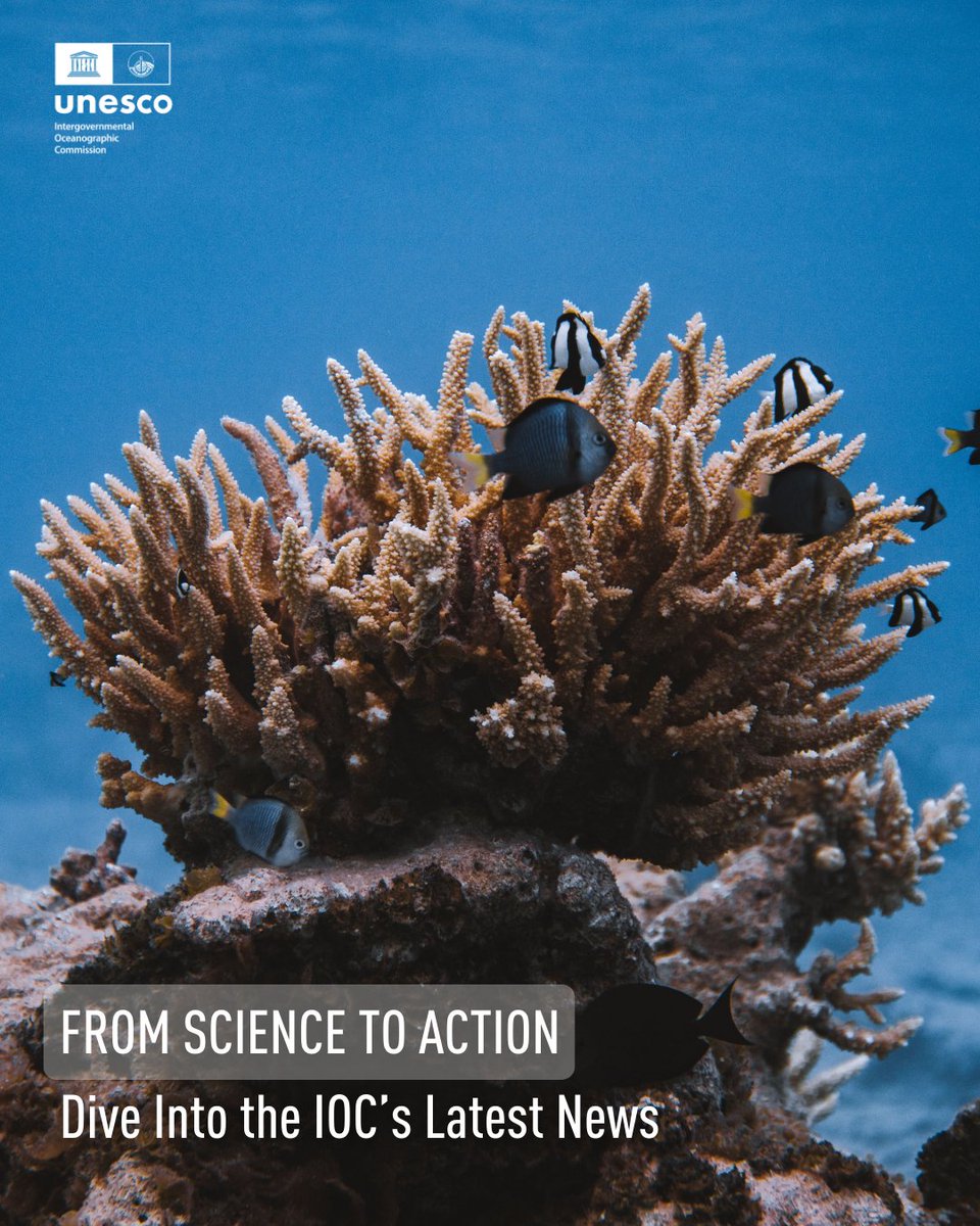 🗞️ From Science to Action: Dive into the IOC's Latest News!

➡️ Dive into the full issue here: mailchi.mp/unesco/ioc-new…

#OceanScience #OceanAction #OceanDecade