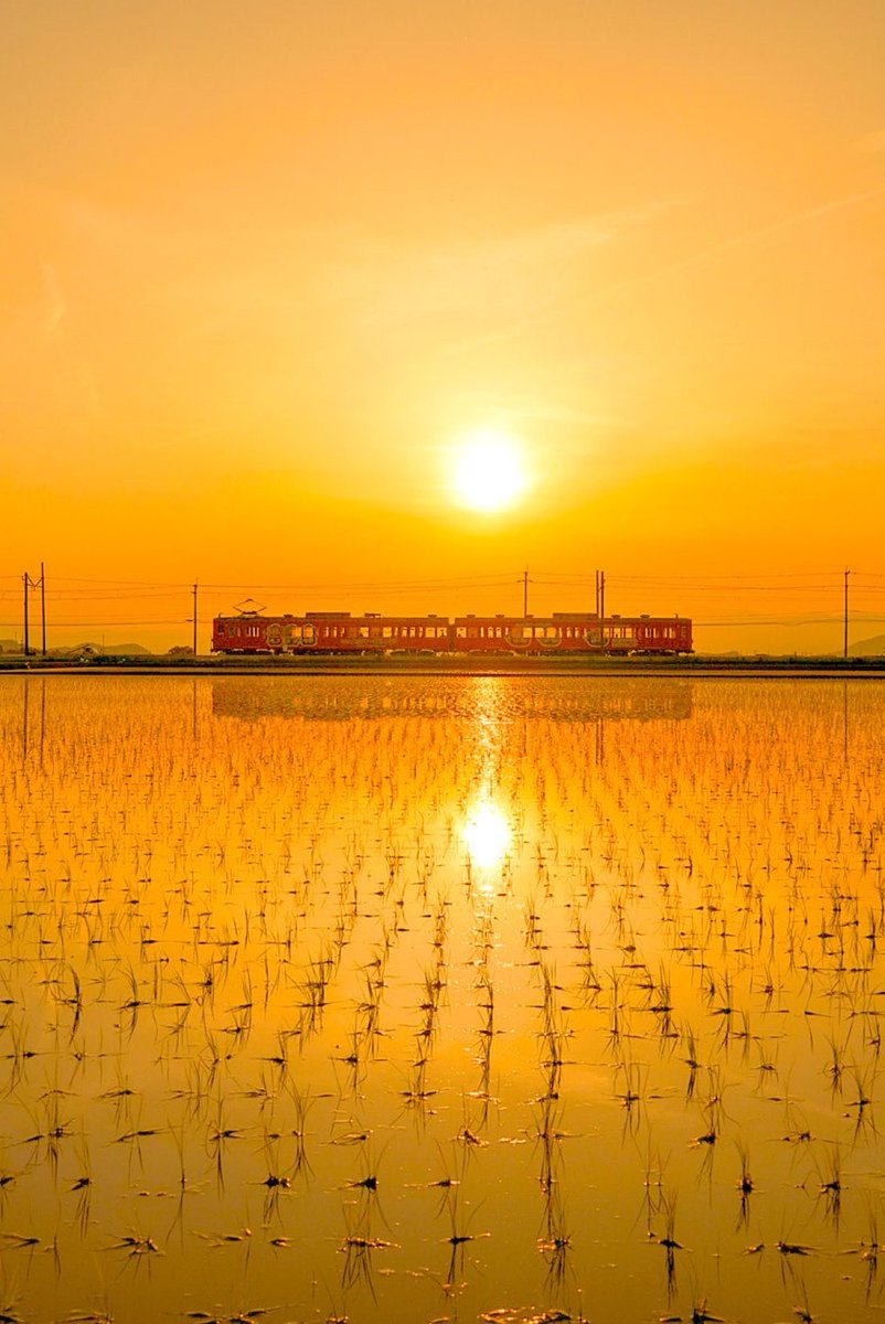 J. Garcia (@jj20439717) on Twitter photo 