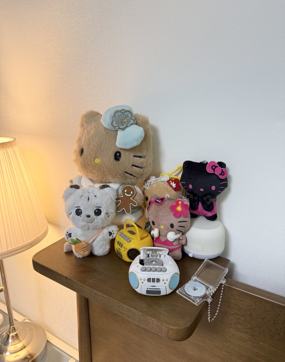 작고예쁜무쓸모 물건만 모으는 오딱쿠,,,,
귀여우면 다니까 괜차나🥹