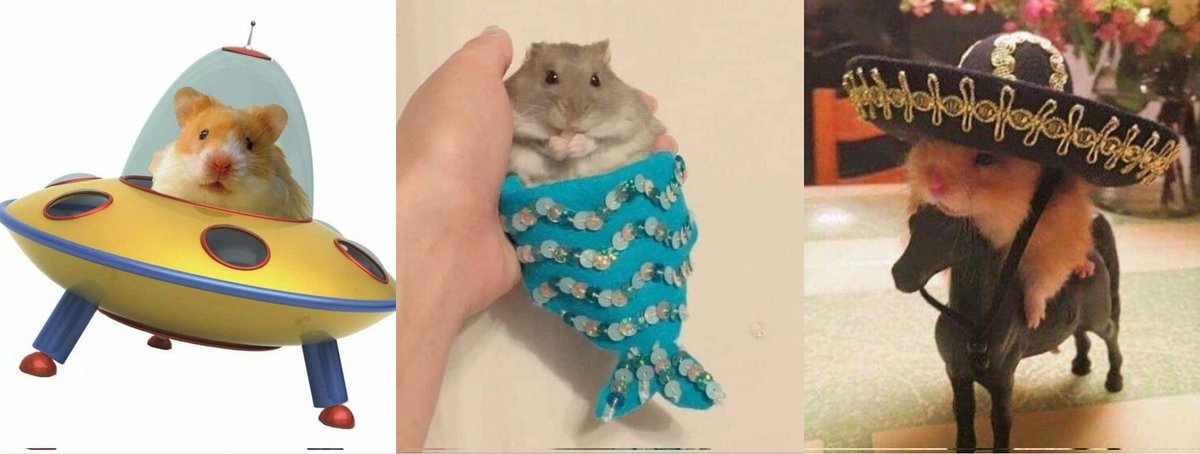 The                             Super                    Rope 
Astronaut                Tuna                        It