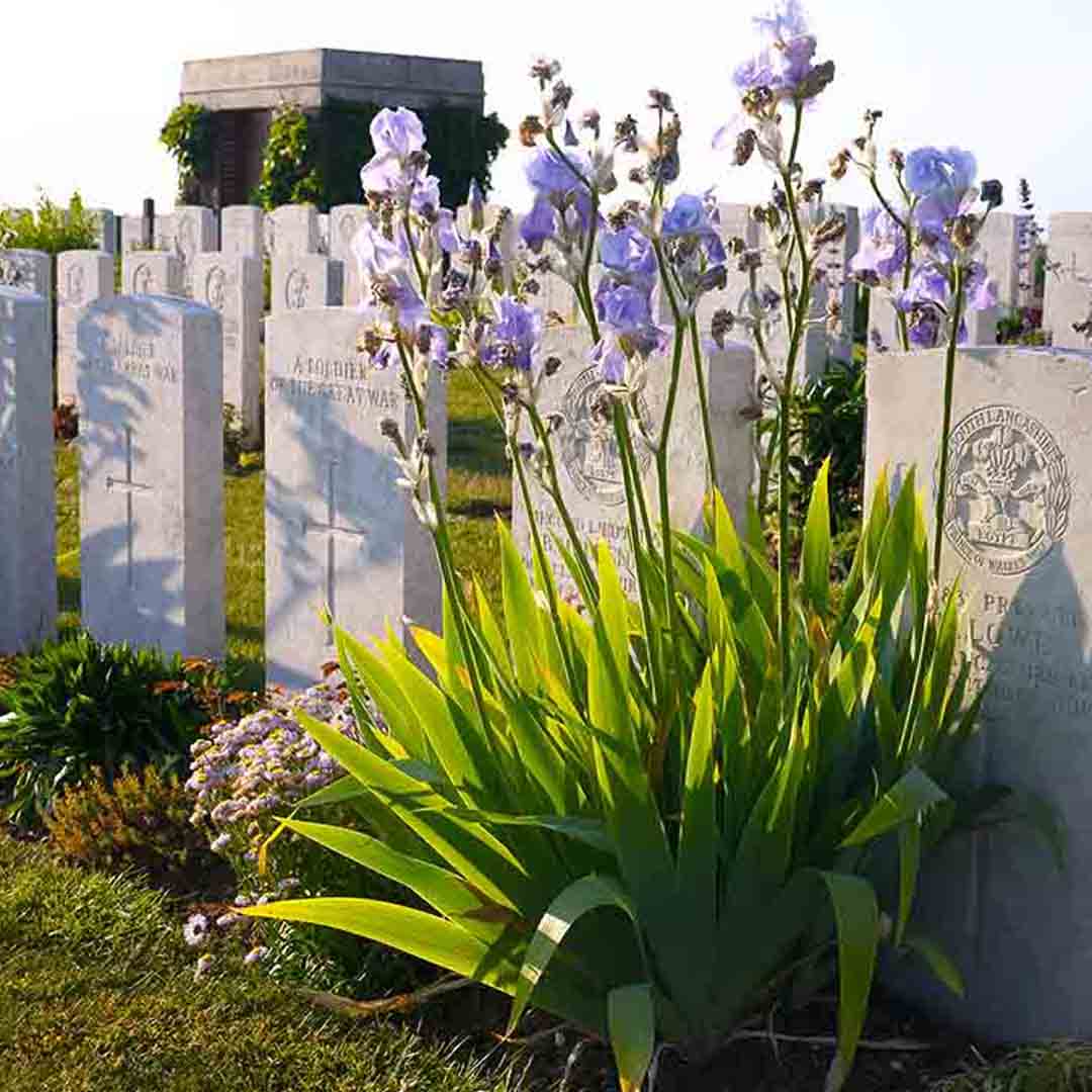 CWGC's tweet image. Join us at 12.30 GMT on 10th September for a webinar addressing the complex issue of dark staining on our headstones. Led by our operations team, this session will share progress updates, insights from investigations and provide space for open questions. 
Please sign up by…