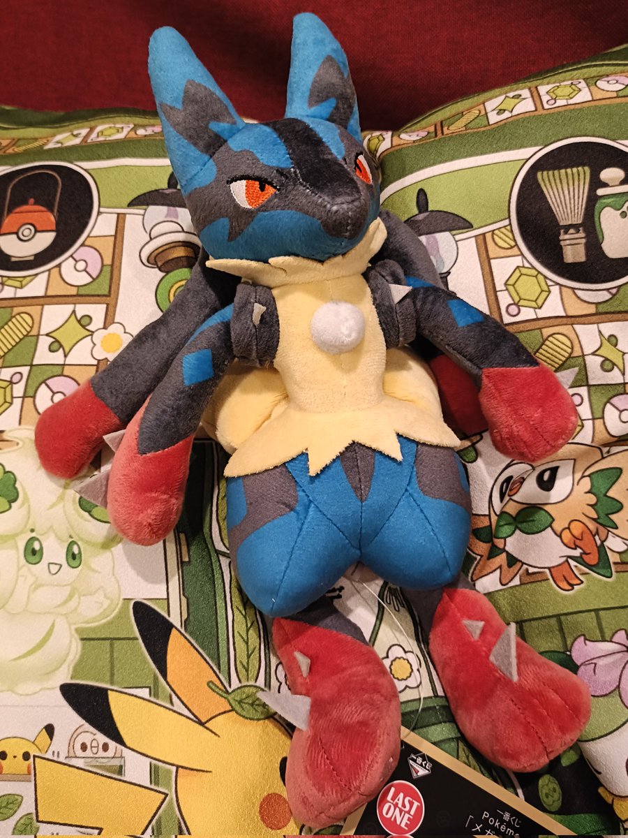 メガルカリオ最高ですん......
眼福ですん...
お母さんも息子もにっこり...。