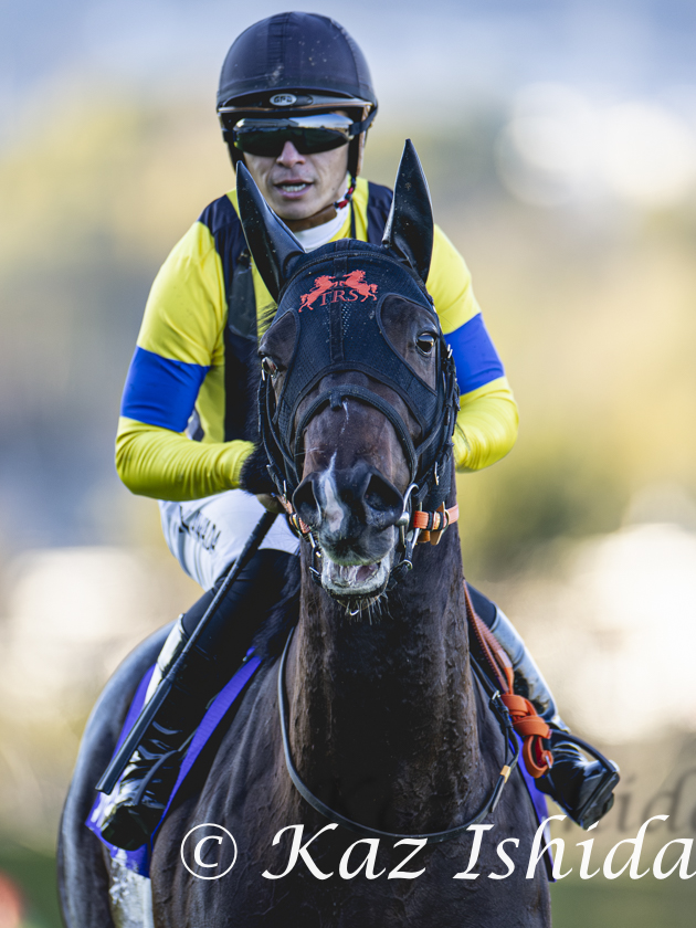 JACK THE RIPPER🍇💎 (@THE_RIPPER_0923) / Posts / X