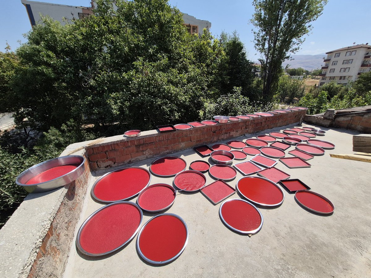 erntha's tweet image. yine herkes videonun altına bizde niye böyle keyifle yapılmıyor bu işler yazmış. şu salçaları tek başıma kova kova yukarı çıkarırken tek isteğim ellerinde çay sigara bana taşı ulan diye bağıran erkek kuzenlerimi vurmaktı