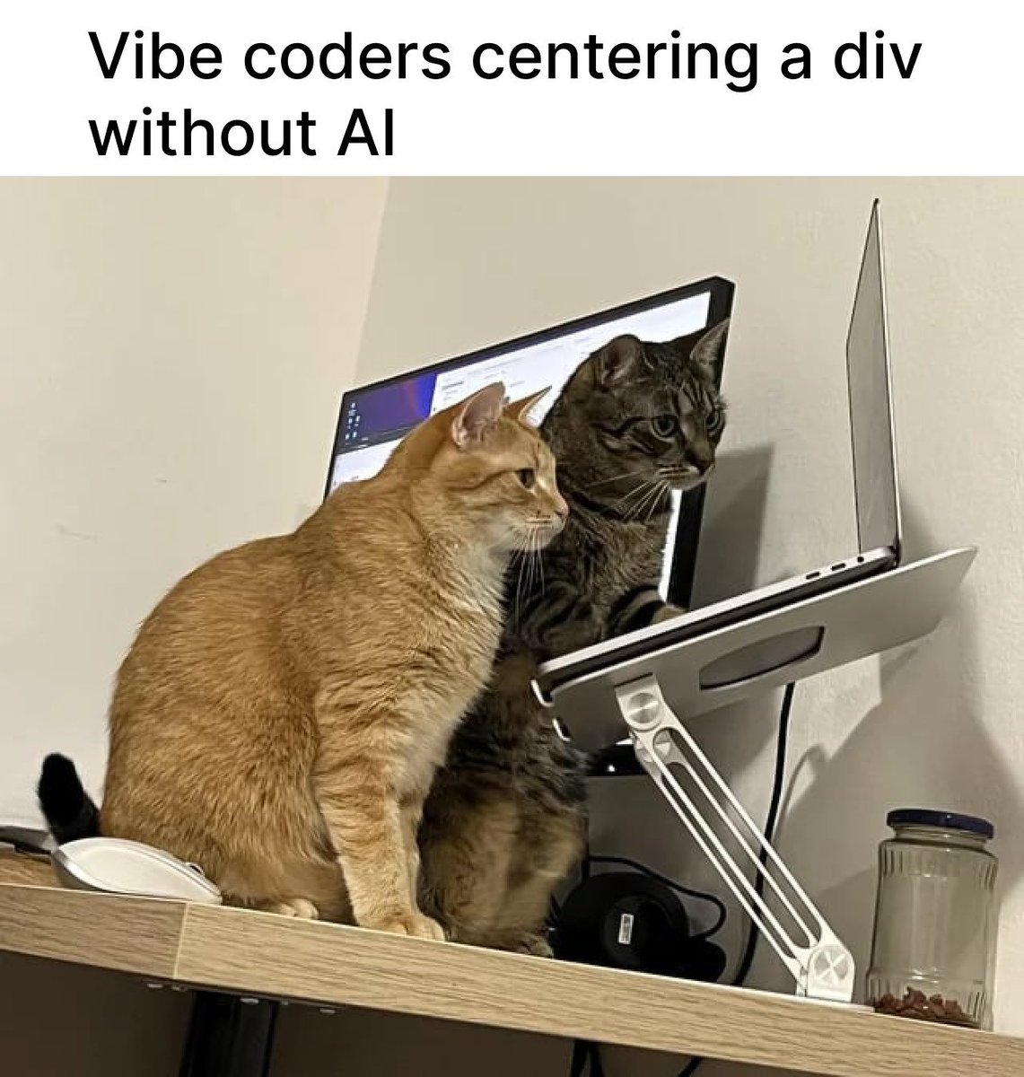 Every dev has a secret code for "works on my laptop, not touching it again"