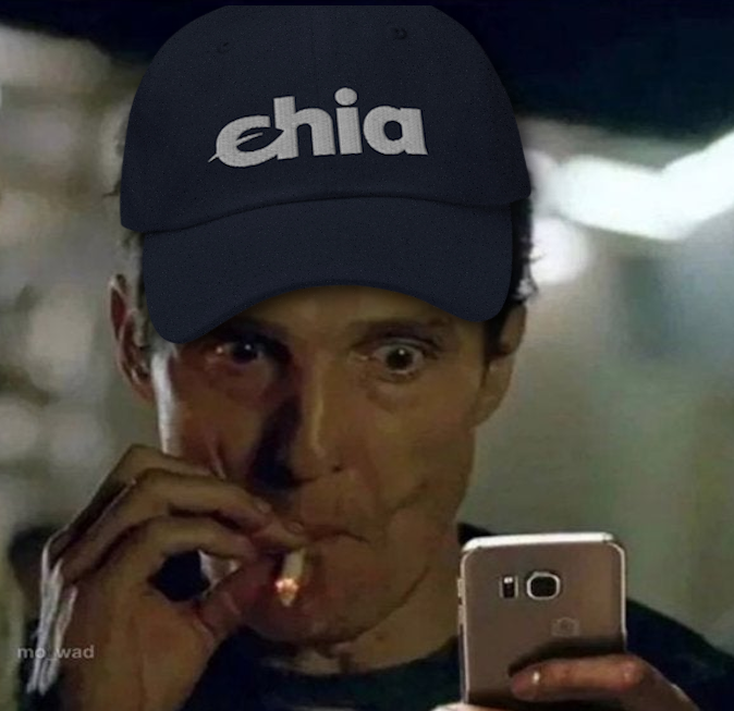 Watching the Market Cap Rank climb about to be like: