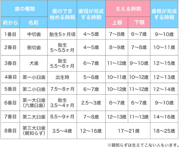 noroshi_d's tweet photo. アホばっかでわろた
自然の歯が骨内で作り始められてから完成まで10年以上かかるのに人工で歯を再生させる？どこで？体内？人工培養？
ネタとしてもお粗末 https://t.co/iok7rkvGWX