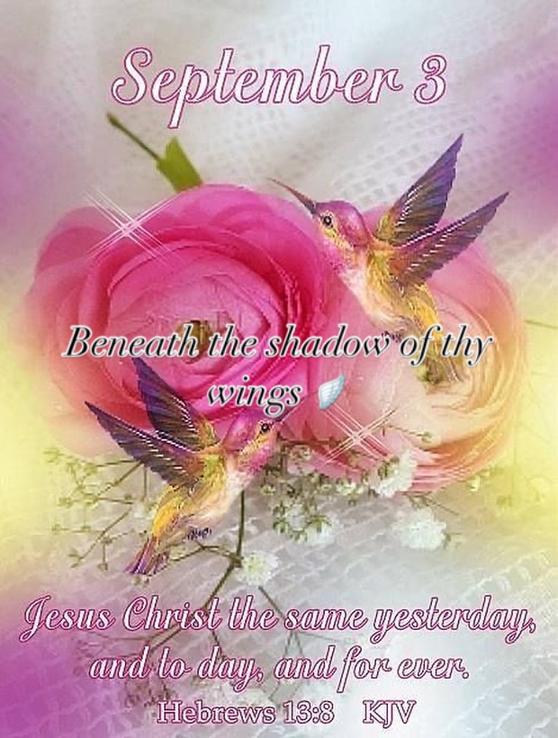 tom myracle (@myracletom) on Twitter photo 