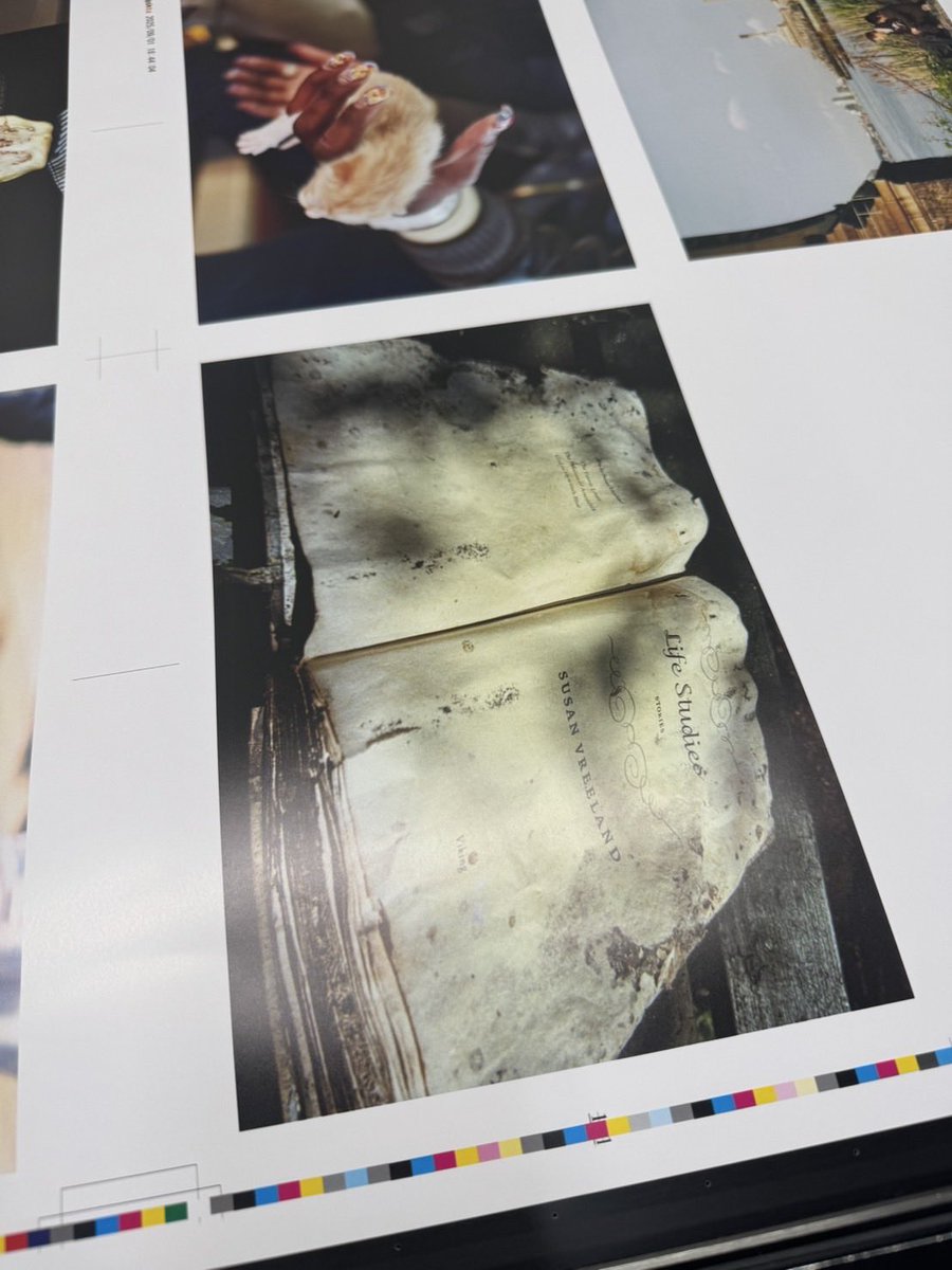 藤岡亜弥「Life Studies」印刷進行中。
2007年から約5年間暮らしたNYで撮影した写真群。スナップをいかに見て、編むか。そこから逆に炙り出される「スナップ」がある。そして移民の眼差し。これはコミュニティガーデンで見つけた朽ちかけの本「Life Studies」、なにかの肺のよう。25日完成予定。