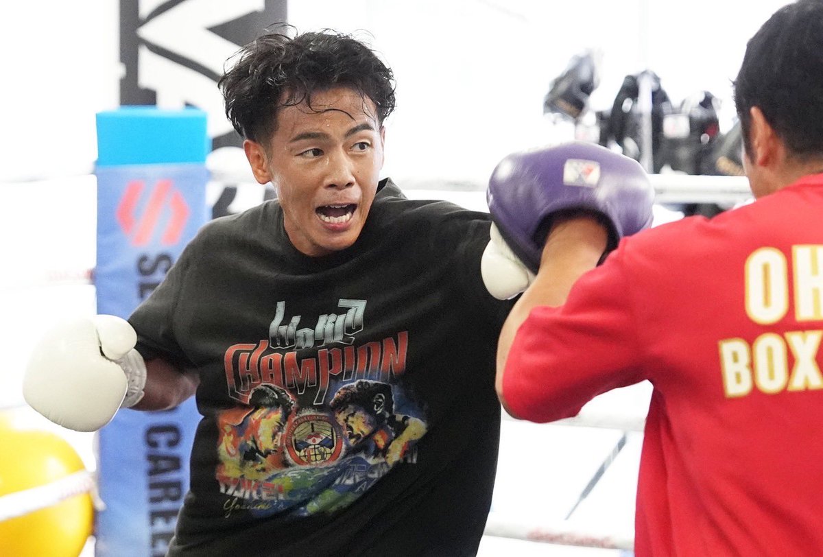 ボクシング 元世界チャンピオン 浜田 剛史 プロデュース チャンププロテイン マッスル 500ｇ チャンプHamada ホエイプロテイン クロレラ 配合 抹茶 ミルク味 ボクシング元世界チャンピオン浜田剛史プロデュース 「チャンプ