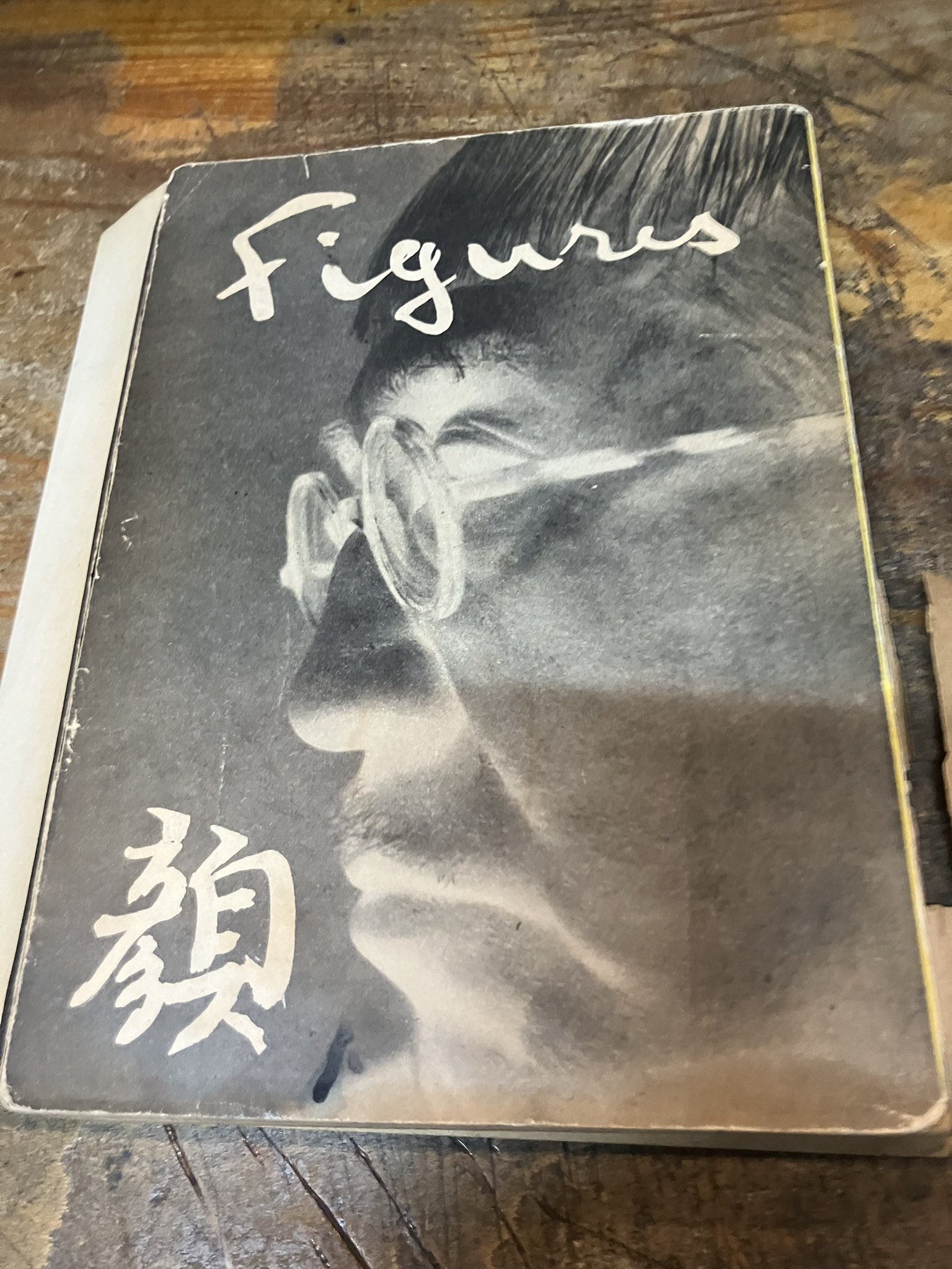 藤田嗣治　巴里の書と夜 藤田嗣治 巴里の書と夜