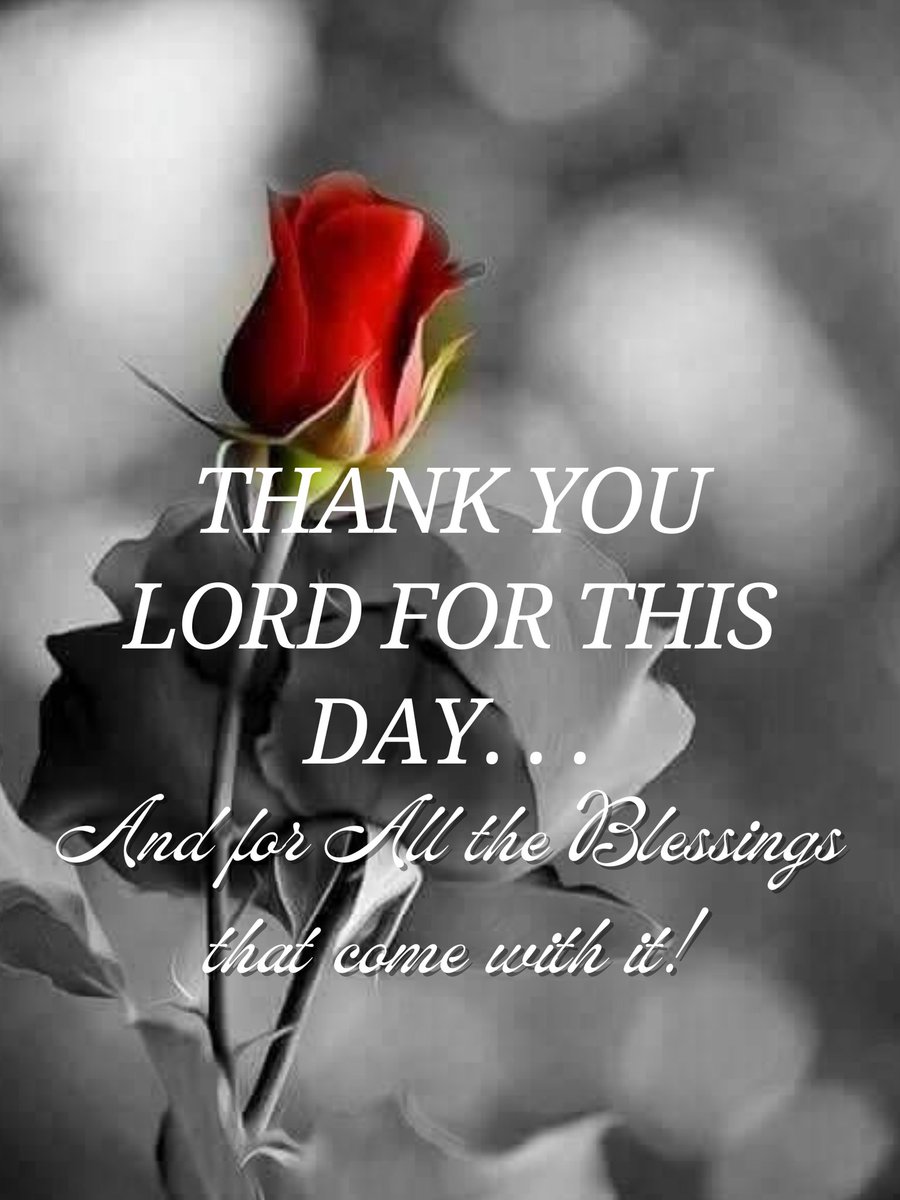 tom myracle (@myracletom) on Twitter photo 