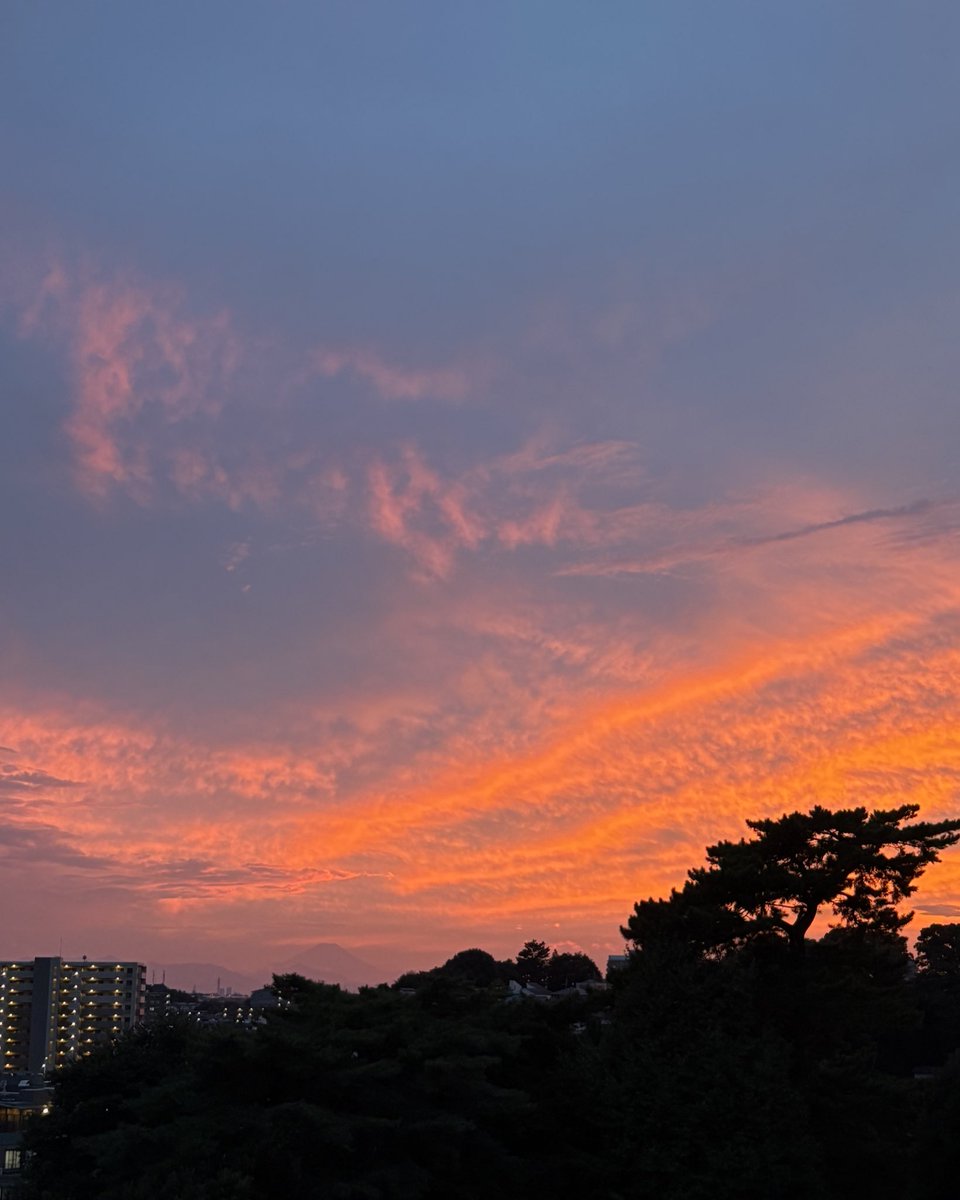 夕陽がきれい☺️
たけオレンジですね🍊