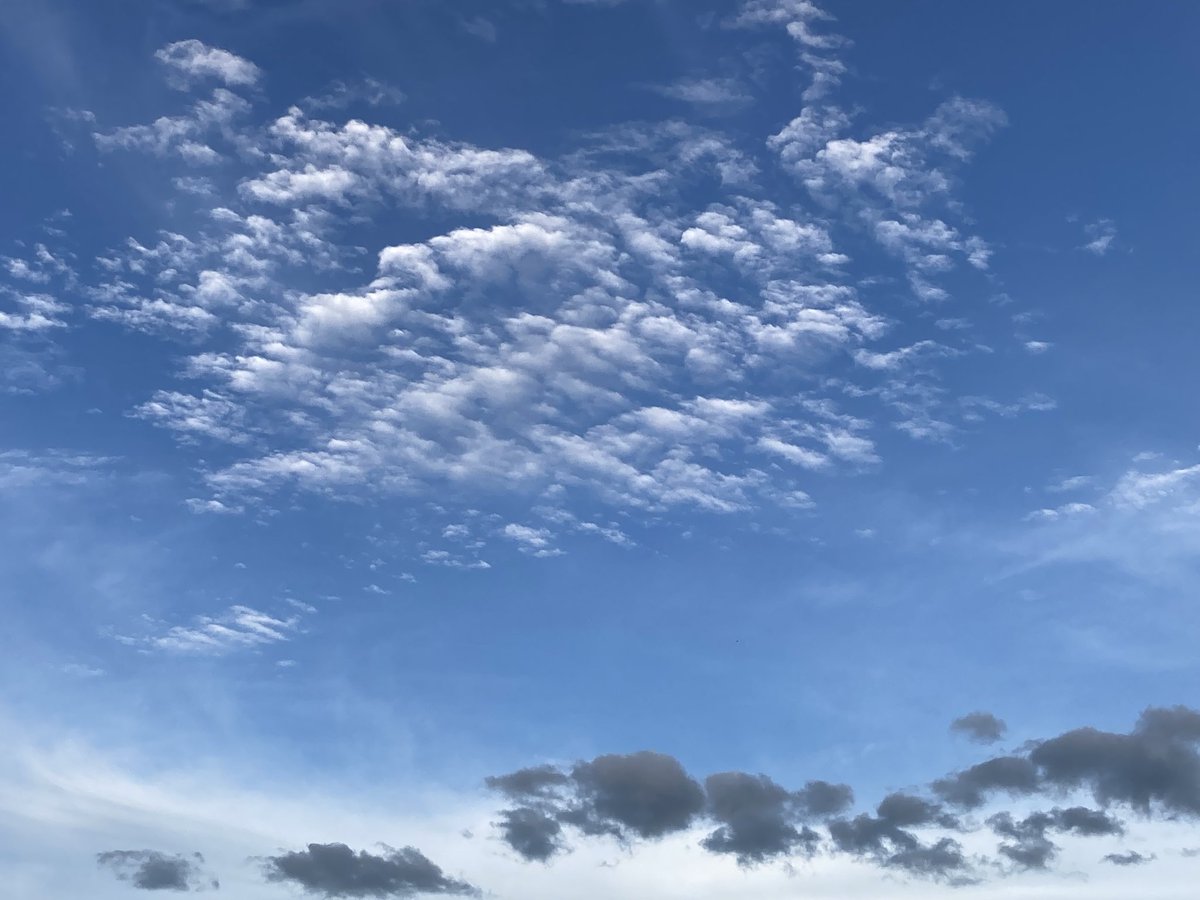 夏の雲 夏の雲。