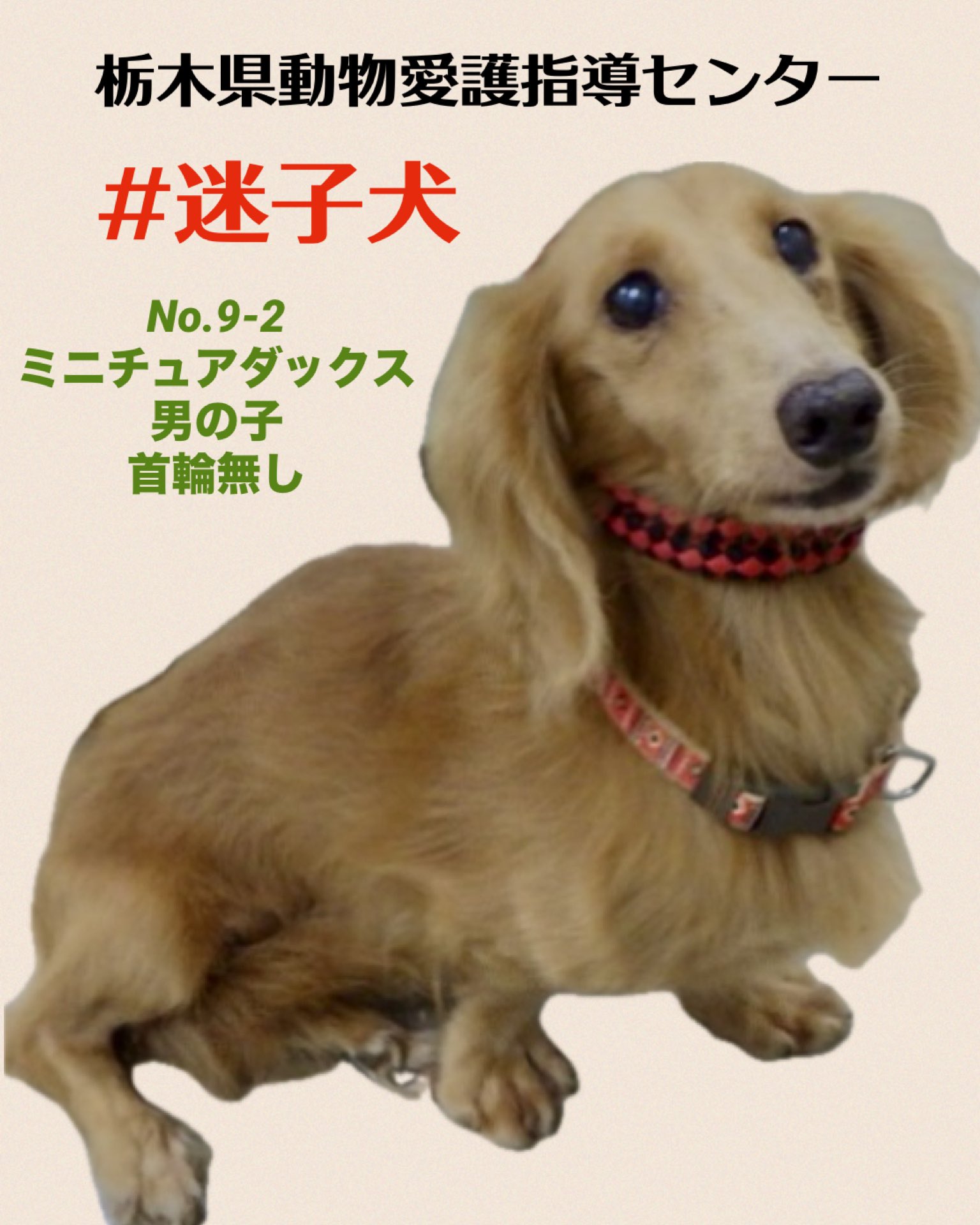 メル愛犬溺愛＠トレペ7/20！プロフ必読ページ メル愛犬溺愛＠トレペ7/20！プロフ必読ページ プロフ必読 様