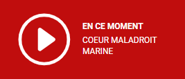 tendanceouest's tweet image. Sur Tendance Ouest, on est aussi team #Marine… Un vrai rayon de soleil sous ce ciel pluvieux !