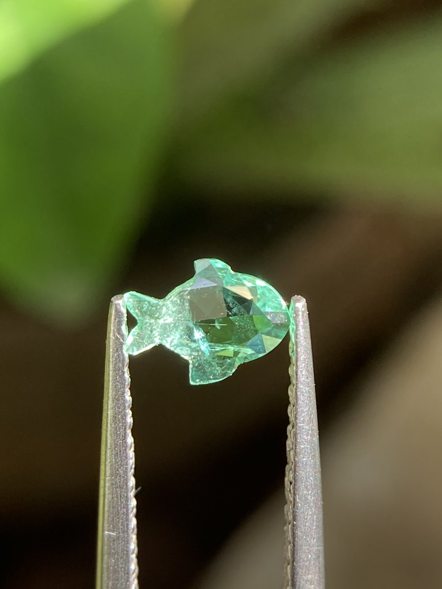 Tanzanite1564's tweet image. 天然エメラルドフィッシュカット🐟🐠.
特別なカット（非常に珍しいエメラルドの魚の形をしたカット.😍
色はとても良いです.
重量：0.36カラット
寸法：長さ6.47mm
明瞭性、包含性（クリーンではない）

#emerald #Gemstones #rare #fish