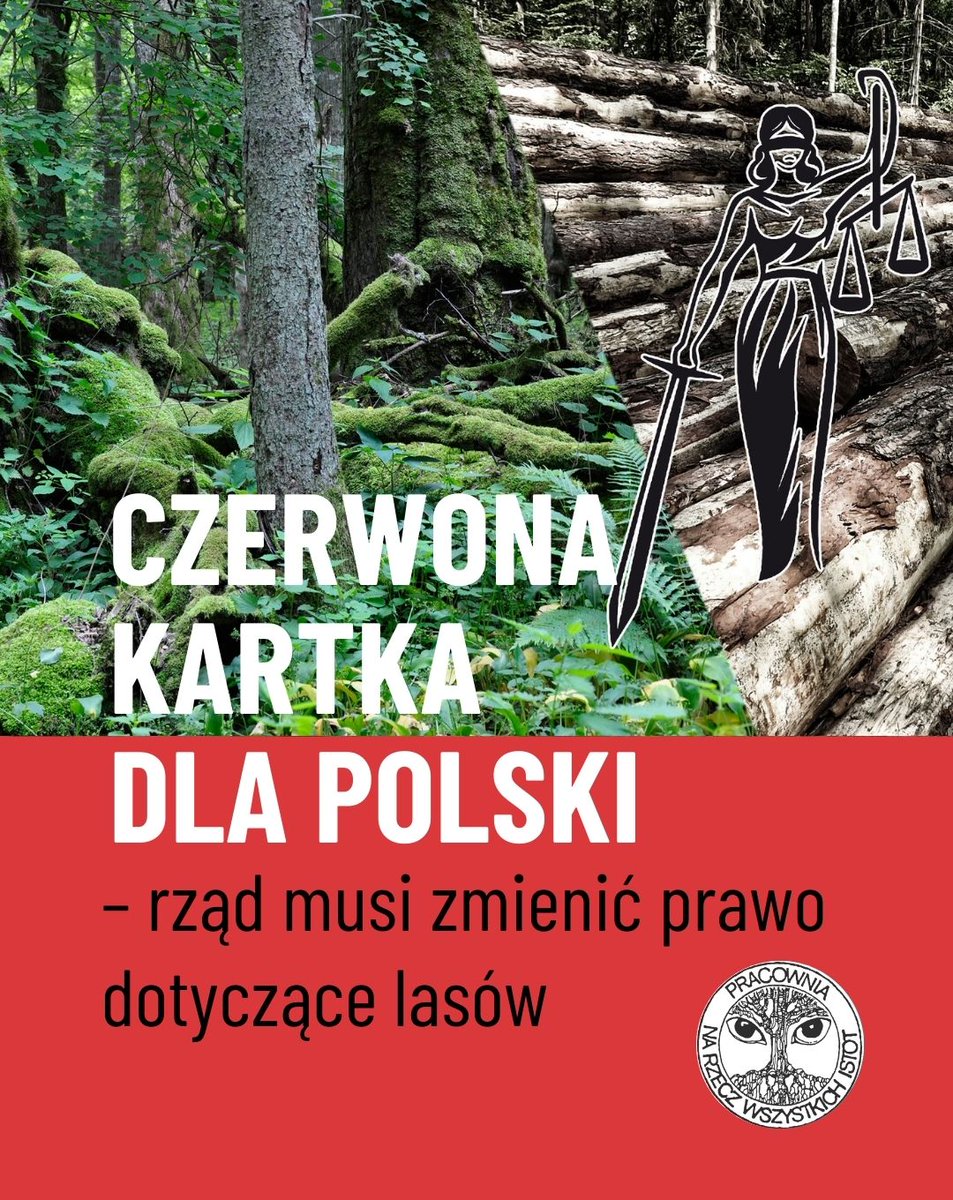 Pracownia Bystra (@pracowniabystra) on Twitter photo 🟥 26 sierpnia 2025 r. Komitet ds. Przestrzegania Konwencji z Aarhus potwierdził, że Polska narusza prawo międzynarodowe, nie zapewniając stronie społecznej możliwości zaskarżenia do sądu planów urządzenia lasów🌲
🆘 Tymczasem <a href="/MKiS_GOV_PL/">Ministerstwo Klimatu i Środowiska</a> przygotowało projekt nowelizacji 🟥 26 sierpnia 2025 r. Komitet ds. Przestrzegania Konwencji z Aarhus potwierdził, że Polska narusza prawo międzynarodowe, nie zapewniając stronie społecznej możliwości zaskarżenia do sądu planów urządzenia lasów🌲
🆘 Tymczasem <a href="/MKiS_GOV_PL/">Ministerstwo Klimatu i Środowiska</a> przygotowało projekt nowelizacji