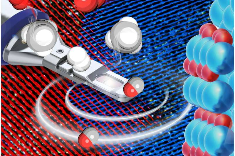 adv_chemistry's tweet image. Watching catalytic nanoparticles at work: Metal and oxide join forces to turn methane into syngas: tinyurl.com/zxe6jjph
For More Information About Adv. Chemistry 2026 Visit Our Website: chemistryconferences.com #chemicalstocks #Chemistry