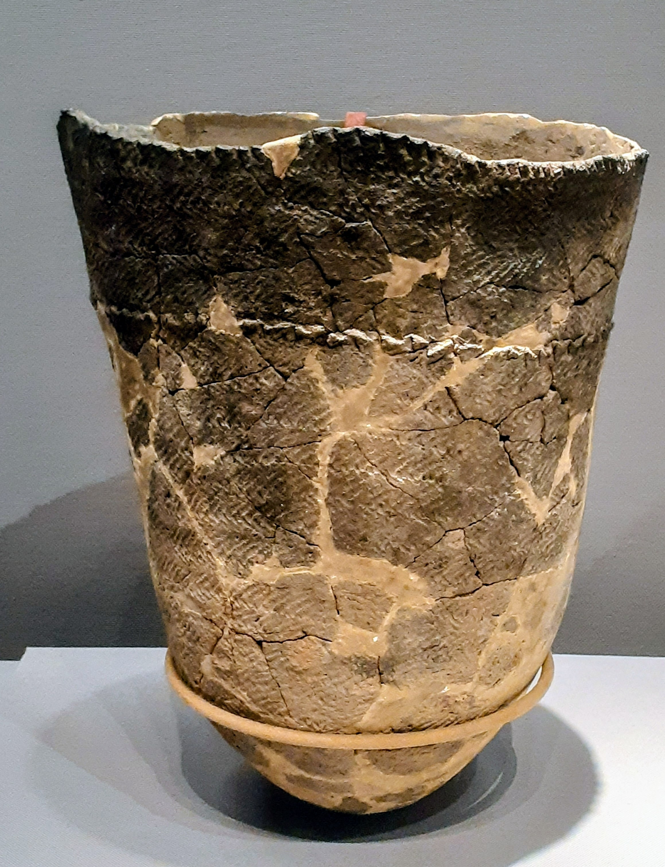 ⑤縄文晩期貝塚採取『玉』 東京国立博物館 - 展示・催し物 展示 平成館（日本の考古・特別