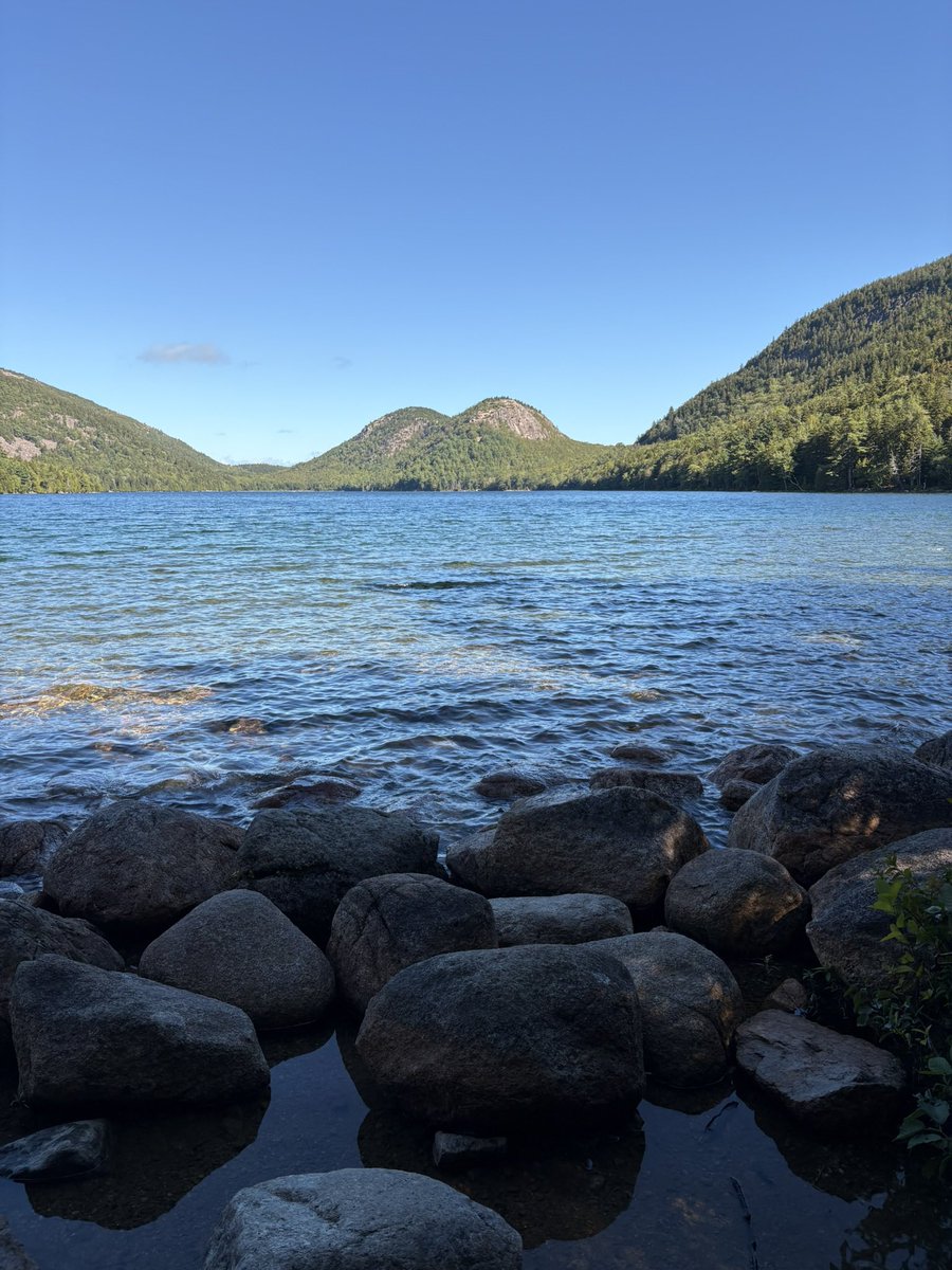 Cristofer Zillo, MD tweet media