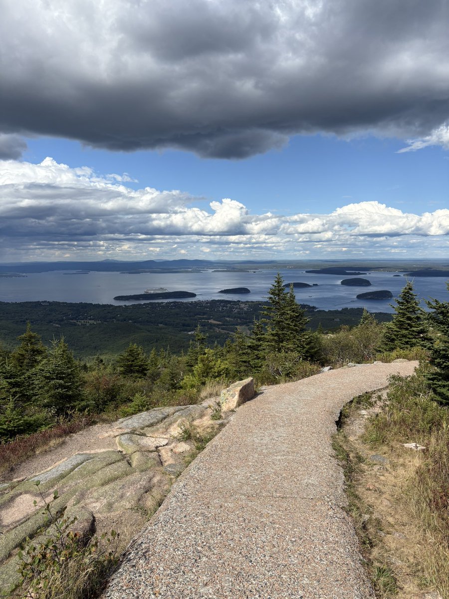 Cristofer Zillo, MD tweet media