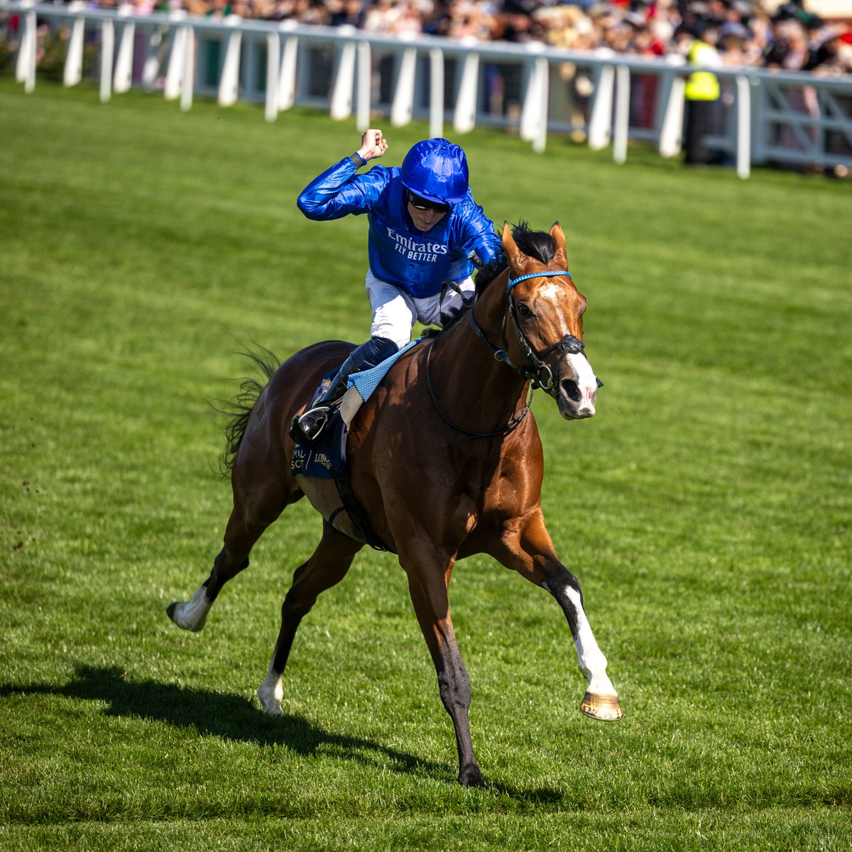 BREAKING: Ombudsman will not run in the Irish Champion Stakes next Saturday and will now be freshened up for an autumn campaign targeting the Champion Stakes at Ascot, Breeders' Cup and Japan Cup