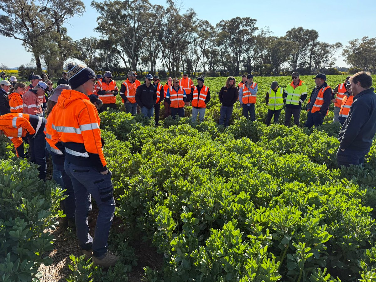 Broden holland tweet media