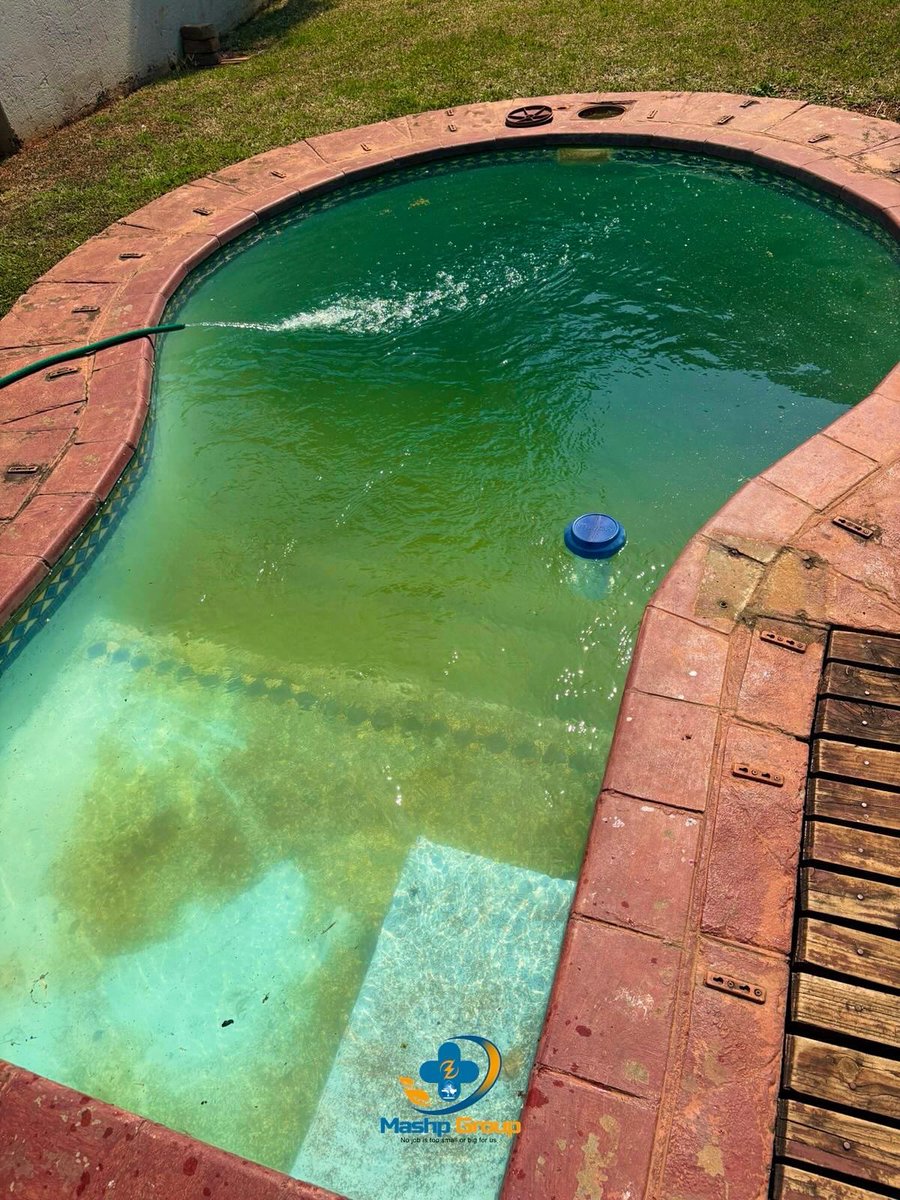 mashpgroup_'s tweet image. Before: Murky, green, and forgotten.
After: Sparkling blue and summer-ready! 💦☀️ 
#MashPGroup #Pooltransformation