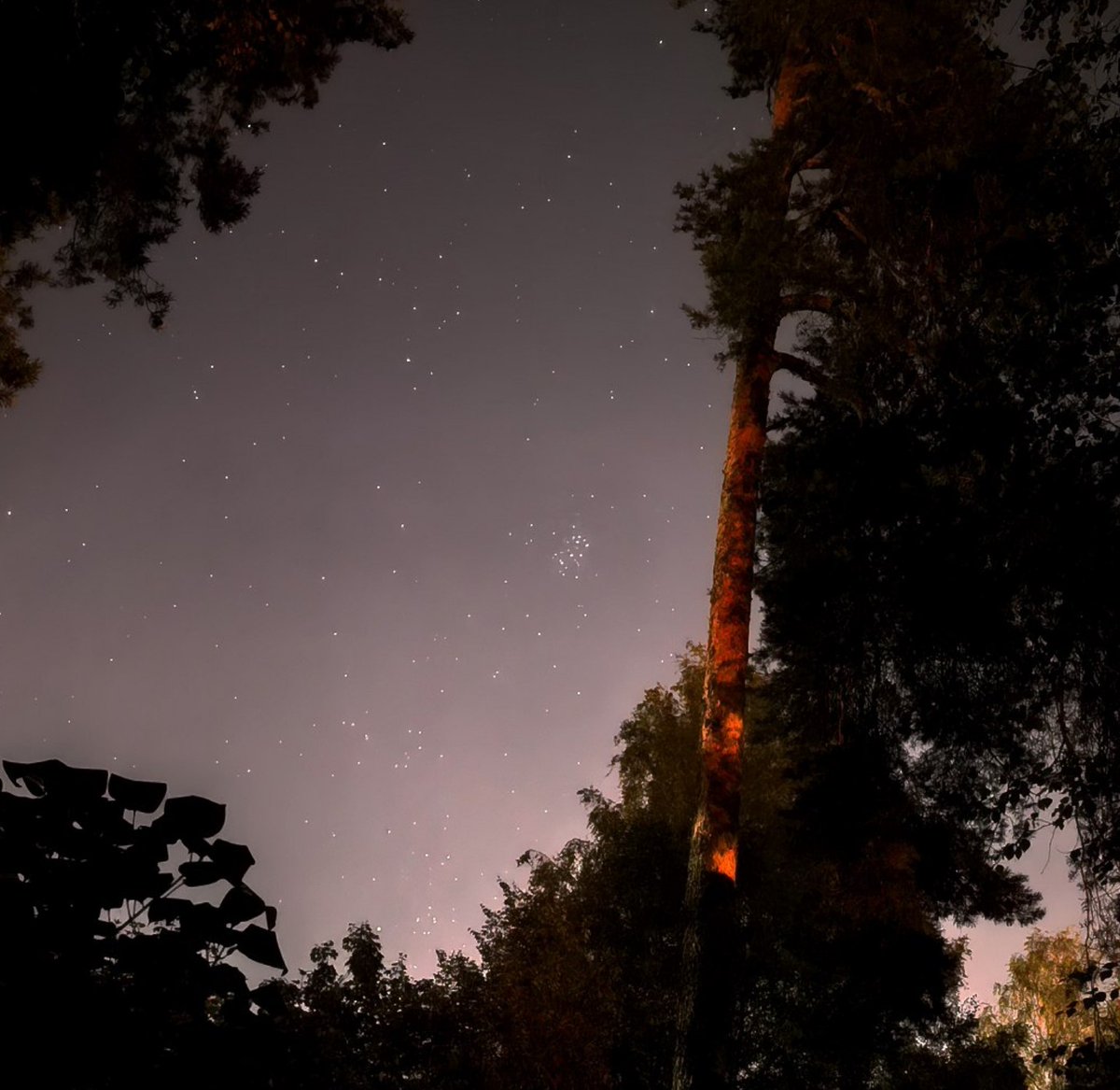 Кто-нибудь может подсказать двоечнику по астрономии, что за объект (созвездие?) в центре картинки — он наблюдается в 2 часа ночи к востоку от Петербурга?

Пробовал свериться со звёздным атласом, но так и не понял, что это. Обычные созвездия вокруг него не такие… плотные