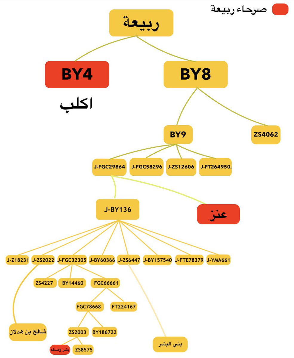 مشجر ربيعة #by8 by4