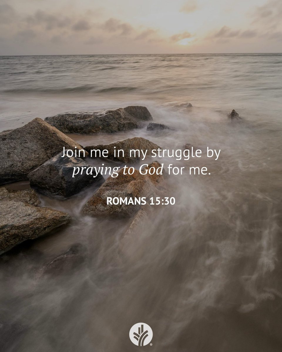 johnsonrn's tweet image. 