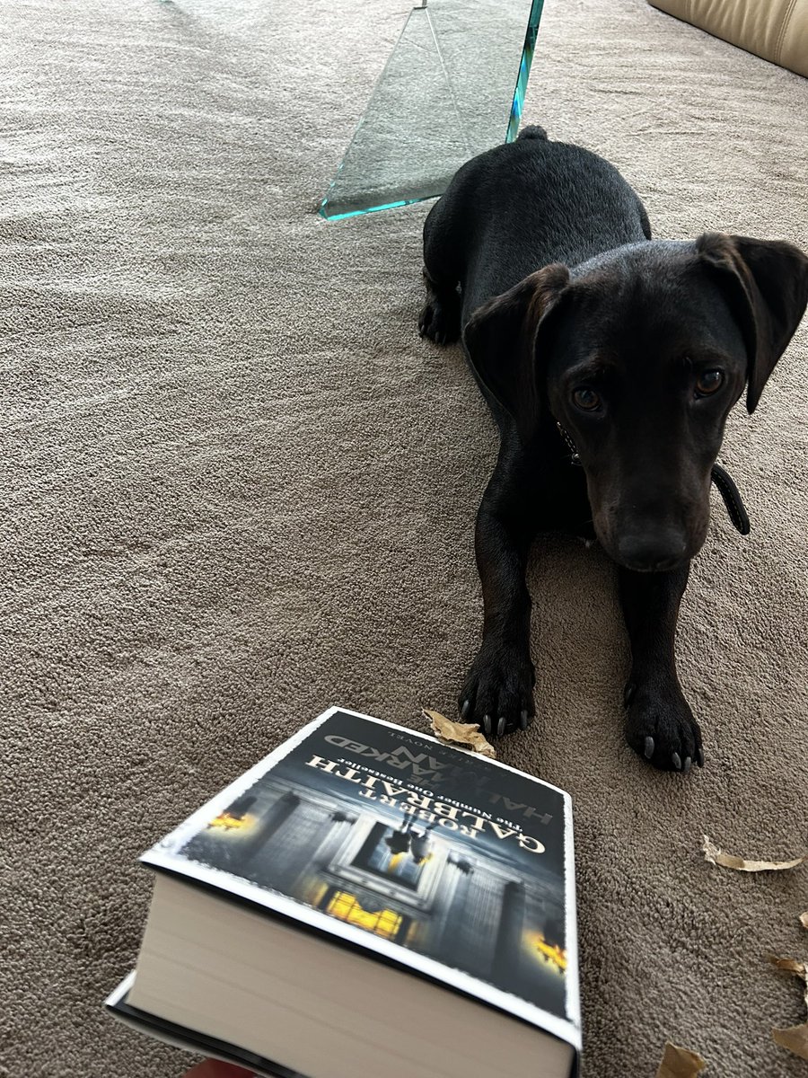winnieayers's tweet image. Dave helping me open my copy of The Hallmarked Man @jk_rowling @RGalbraith @CormStrikeFan 
#hallmarkedman #strike #books