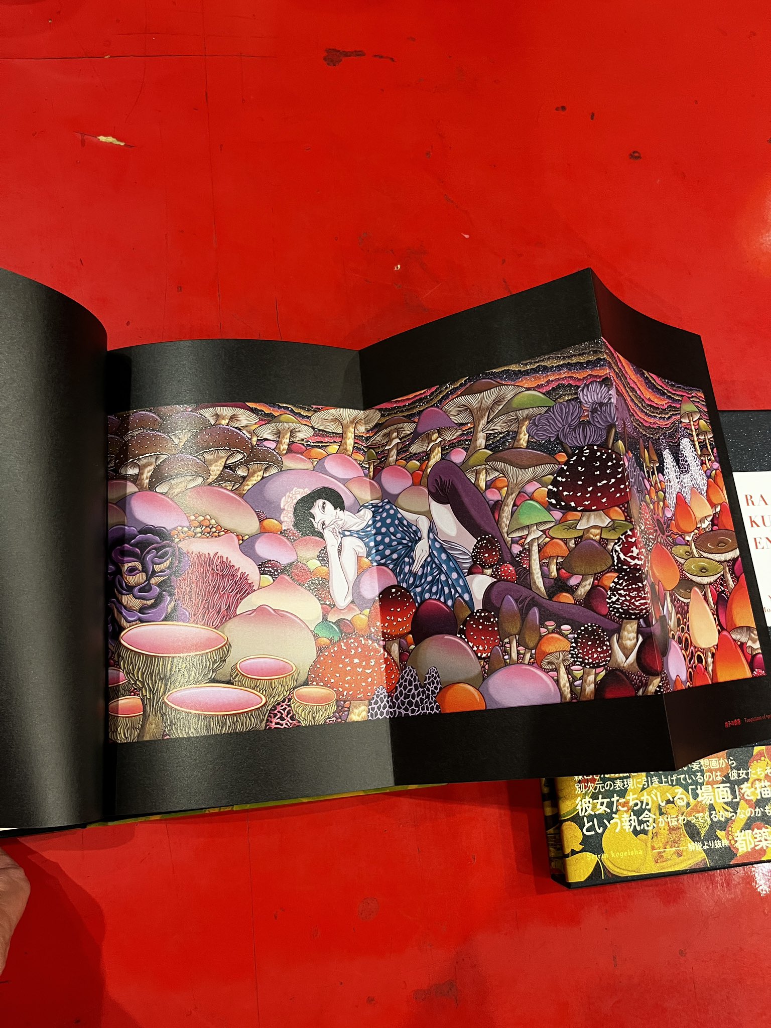 森口裕二　画集　「楽園」　サイン本　ポストカードセット付き スパンアートギャラリー on X: 