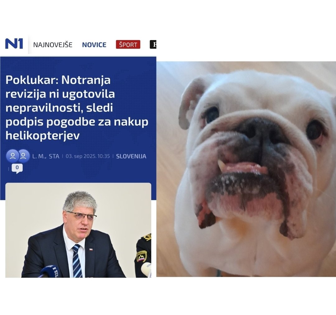 Dobre novice! 🤗 Presenetljiv razvoj dogodkov- notranja revizija incidenta izginotja klobas iz shrambe (osumljenec: Spike, revizor: Spike) ni ugotovila nepravilnosti! 👍😀