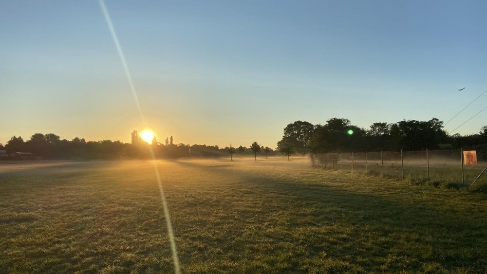 Feldomma @feldomma@mastodon.social (@feldomma) on Twitter photo Morgens um 7.00 Uhr auf dem 
#TempelhoferFeld 🥰 🎶 🐦⬛ 🐞 🌻
#Feldliebe #THFbleibt
Foto: #KathleenM Morgens um 7.00 Uhr auf dem 
#TempelhoferFeld 🥰 🎶 🐦⬛ 🐞 🌻
#Feldliebe #THFbleibt
Foto: #KathleenM