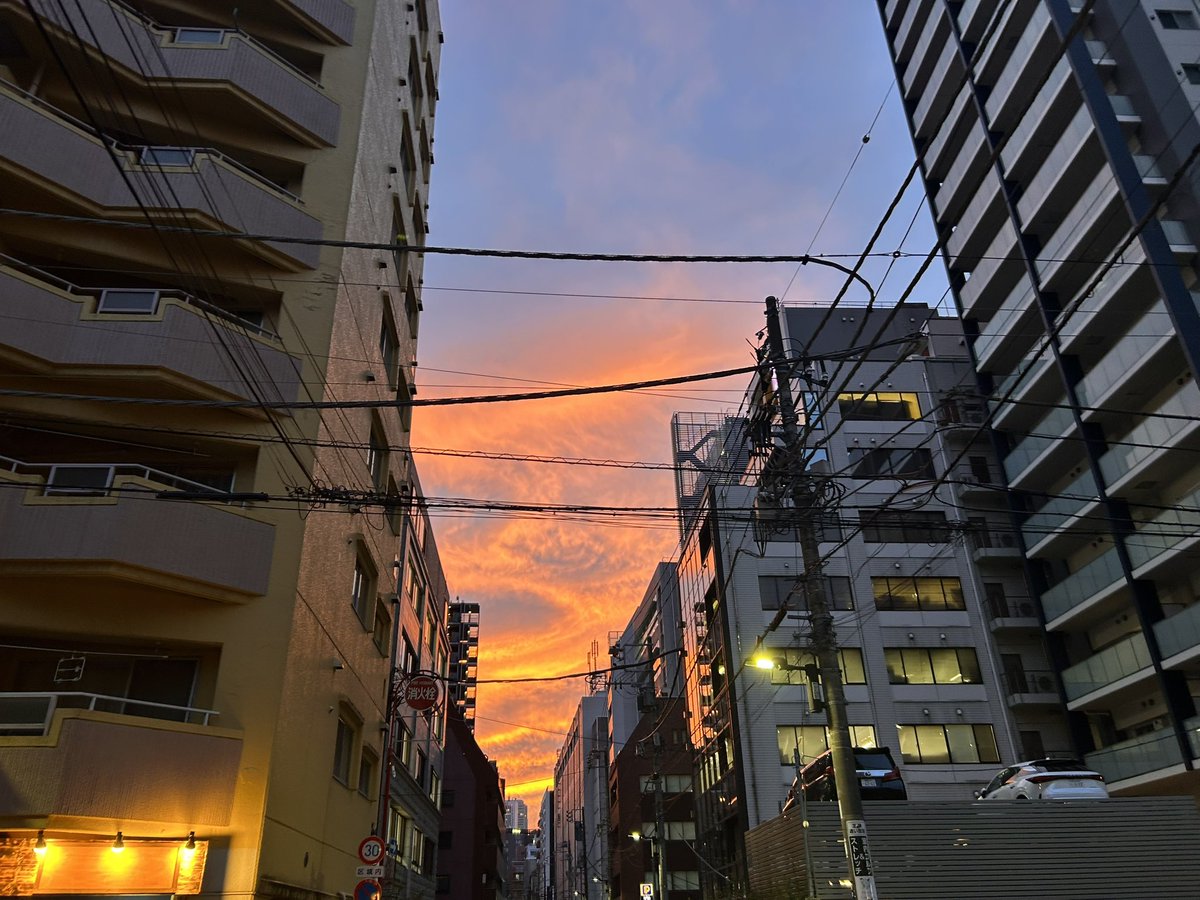お疲れ様でした🚶