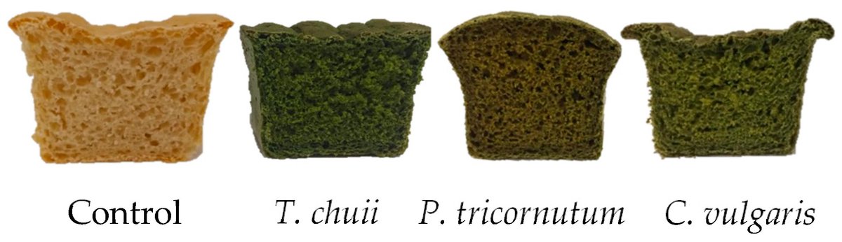Applsci's tweet image. 🔥 Read our Highly Cited Paper
📚 Enhancing the #Protein, #MineralContent, and #Bioactivity of #WheatBread through the Utilisation of #MicroalgalBiomass: A Comparative Study of Chlorella vulgaris, Phaeodactylum tricornutum, and Tetraselmis chuii
🔗 mdpi.com/2076-3417/14/6…
👨‍🔬…